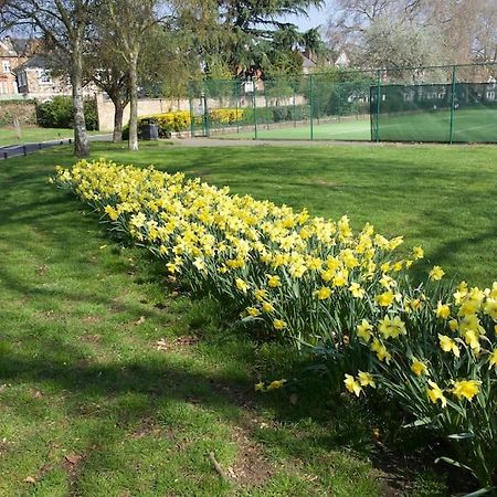 Glorious View Over The Park London Exterior photo