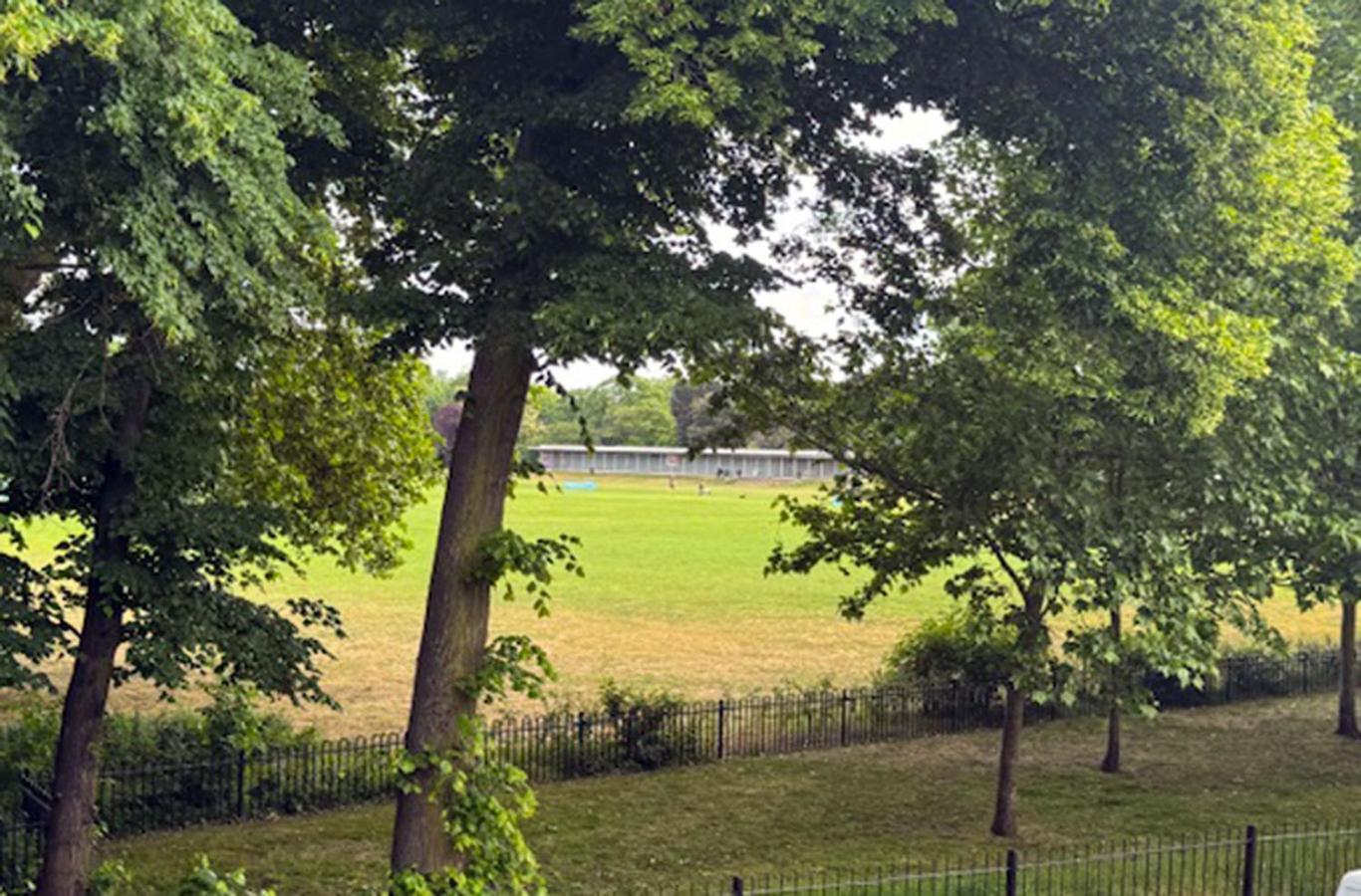 Glorious View Over The Park London Exterior photo